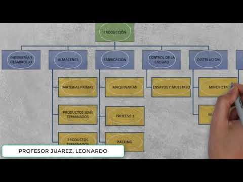Guía para crear organigramas funcionales eficientes en empresas