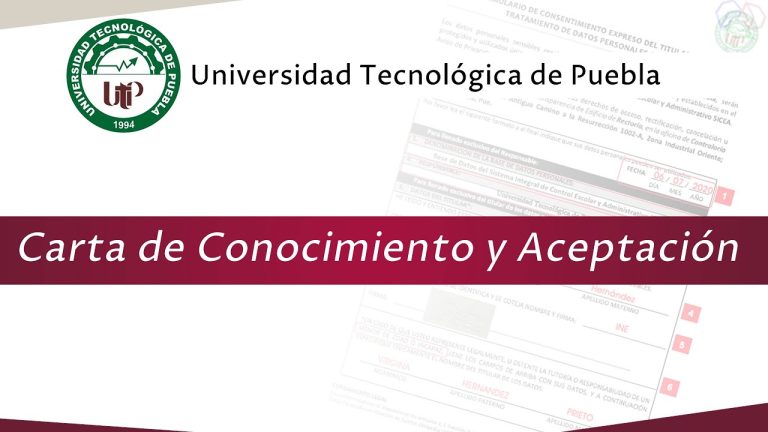 Modelo de Carta de Poniendo en Conocimiento: Guía Práctica
