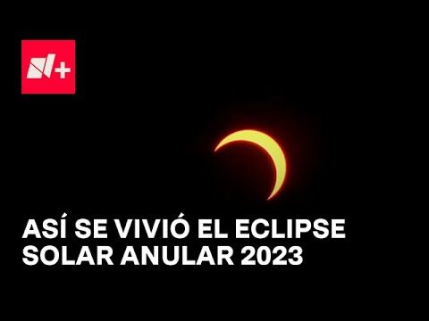 Cómo anular un parte amistoso: Pasos y consejos