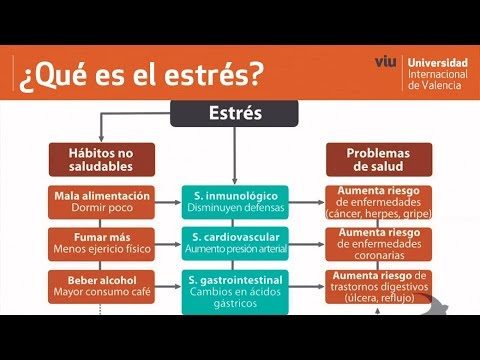 Los diferentes tipos de estrés: una guía completa