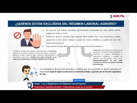 Vacaciones y el estatuto de los trabajadores: preferencias y derechos