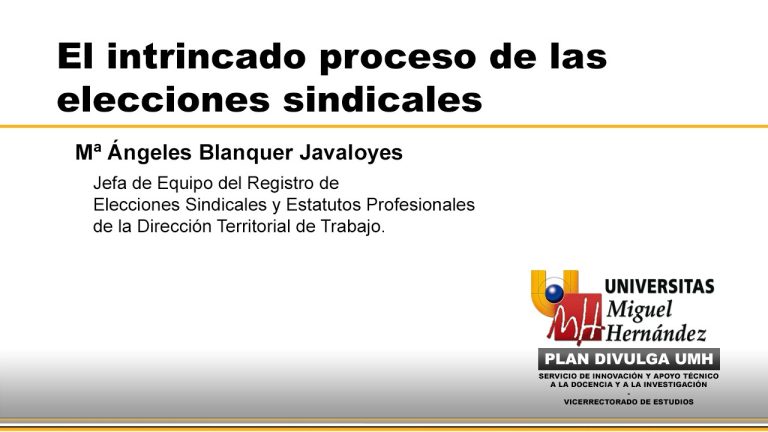 ¿Cuántos delegados sindicales puede tener una empresa?