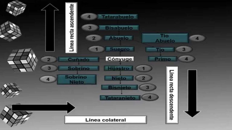 El suegro como familiar de primer grado: todo lo que necesitas saber