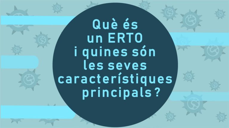 ERTE vs. ERTO: Diferencias y similitudes